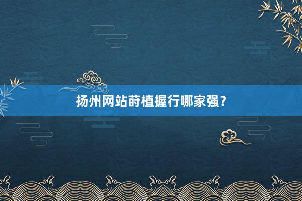 扬州网站莳植握行哪家强？